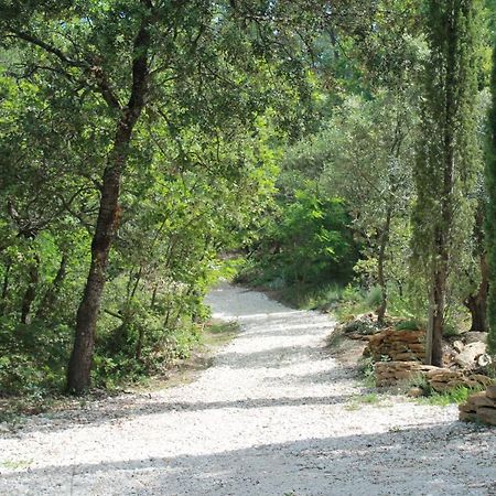 Lou Paradou Lodge Grillon Εξωτερικό φωτογραφία