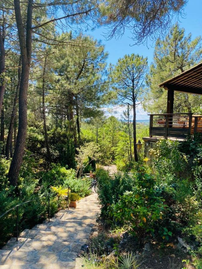 Lou Paradou Lodge Grillon Εξωτερικό φωτογραφία