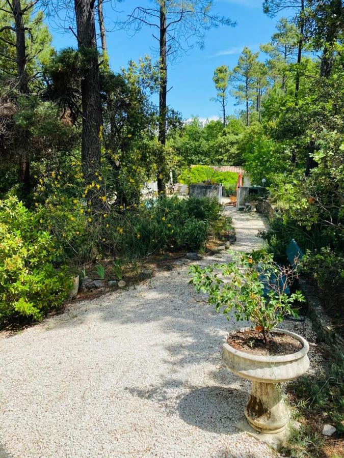 Lou Paradou Lodge Grillon Εξωτερικό φωτογραφία